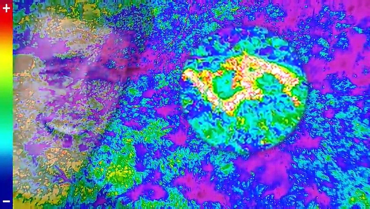 I Survived A Plane Crash