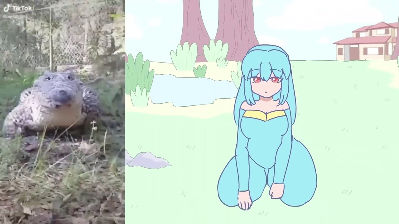 cute croc videos but it's animated
