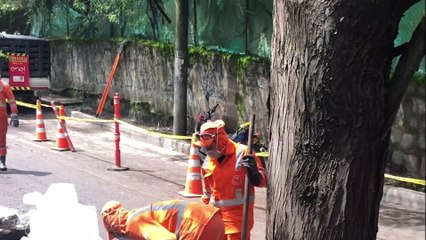 Resumen de Calera 🏗️