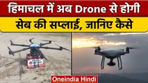 Himachal Pradesh में अब drone से होगी सेब की सप्लाई, watch video | वनइंडिया हिंदी |*News