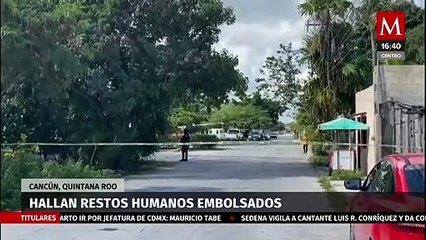 Télécharger la video: Hallan restos humanos en bolsas de plástico en Quintana Roo