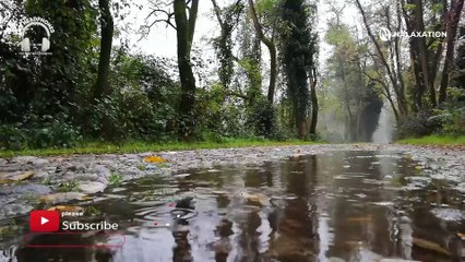 Soothing Rain Relaxation Music for Sleeping