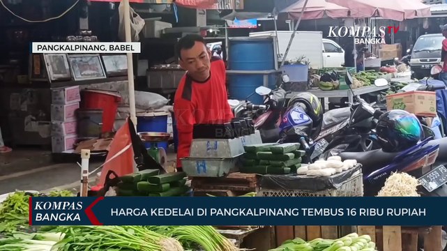 Harga Kedelai di Kep. Bangka Belitung Menyentuh 16 Ribu Rupiah Perkilogram