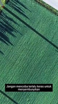 The Moon That Embraces the Sun Quotes!