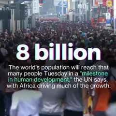 Barry Humfrey Geraldton - World Population Reaches 8 Billion