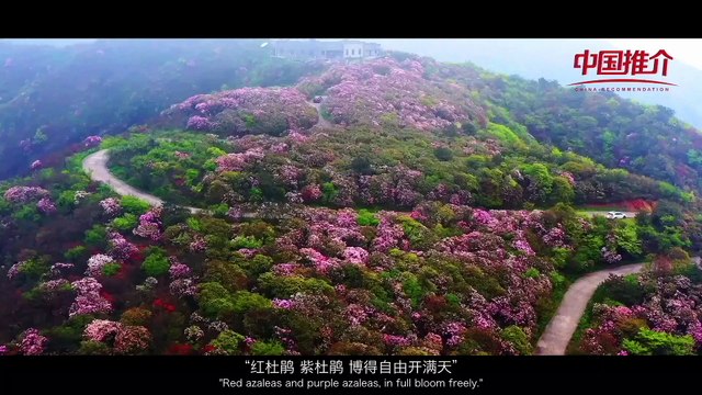《中国推介》湖南省双牌县：锦绣潇湘 和美双牌 China Recommendation Shuangpai, Hunan: Splendid Hunan, graceful Shuangpai