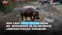 Ada Lagi! Foto Editan Kuda Nil Berkubang di Jalan Rusak Jampangtengah Sukabumi
