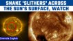 Solar snake spotted slithering across the Sun's surface, Watch | Oneindia News *Space