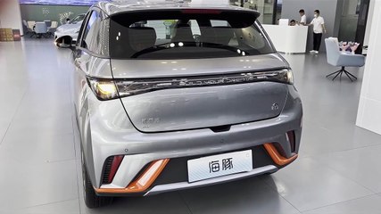 2023 BYD Dolphin in depth Walkaround