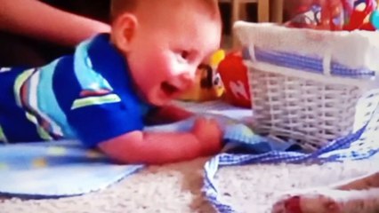 Benarkah Pecinta Kucing Hidupnya Jauh Lebih Bahagia?