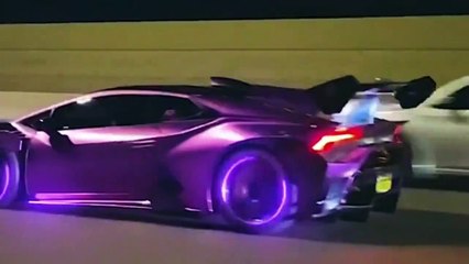 In order to survive and forage, various wild animals engage in a great deal of variety.