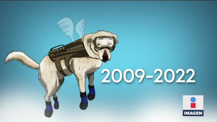 Muere Frida, la perrita de la Marina que salvó vidas en sismos de 2017
