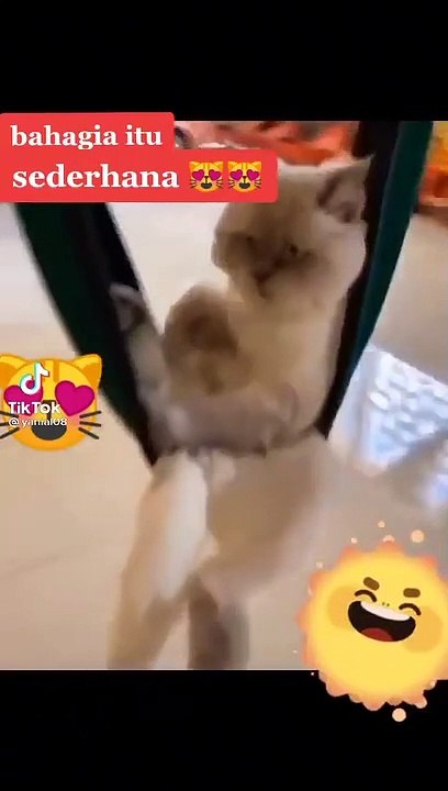 Viral