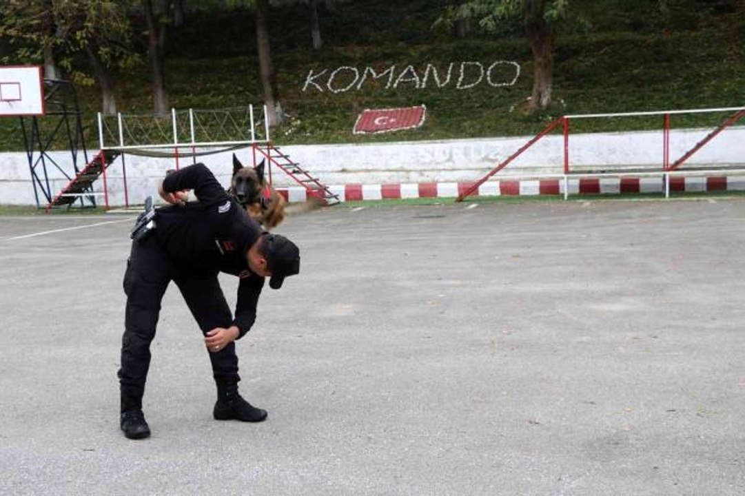 Jandarmanın hassas burnu 'Şila'
