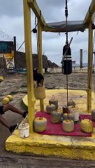 Dog Spots For Man Working Out