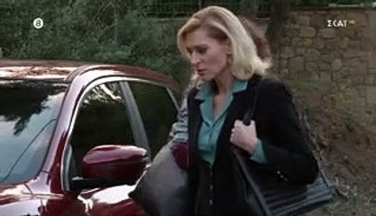 Άγρια γη-ΕΠ40