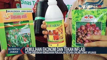 Strategi Pemulihan Ekonomi Dan Inflasi