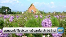 สวนดอกไม้เชียงใหม่คาดเงินสะพัดกว่า 70 ล้าน!