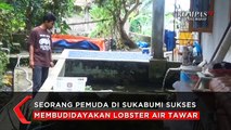 Budidaya Lobster Air Tawar Menggiurkan