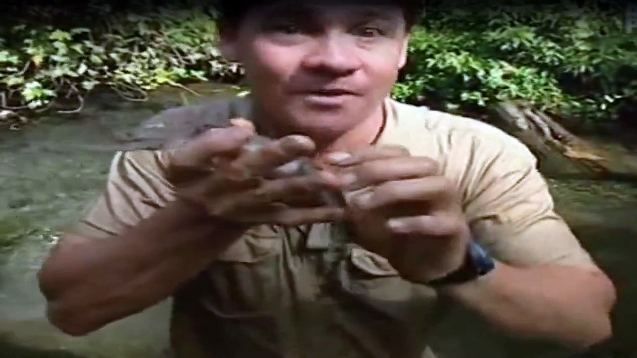 Crocodile Hunter Staffel 1 Folge 9 HD Deutsch