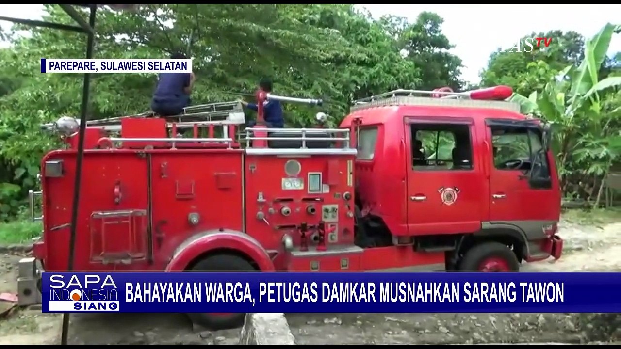 Bahayakan Warga, Petugas Damkar di Parepare Musnahkan Sarang Tawon!