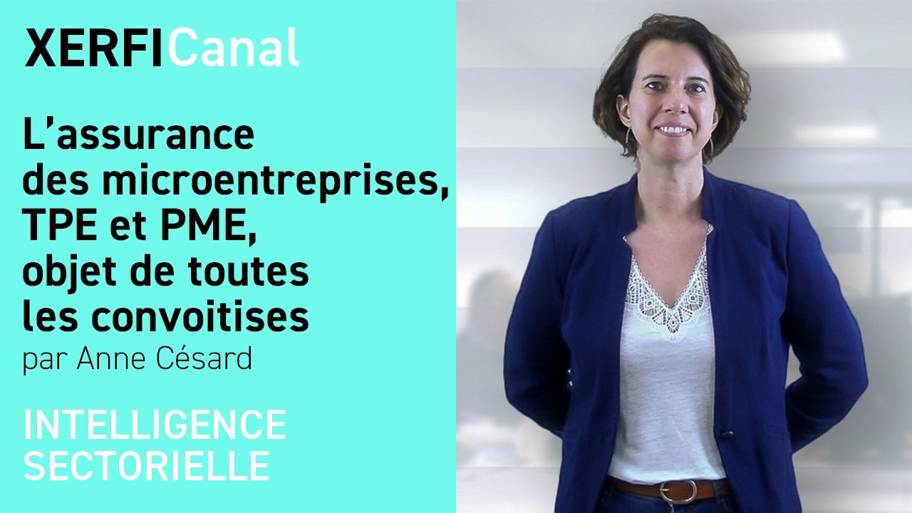 L’assurance des microentreprises, TPE et PME, objet de toutes les convoitises [Anne Césard]