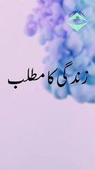 Zindagi Ka Matlab: Life's True Meaning 🌱