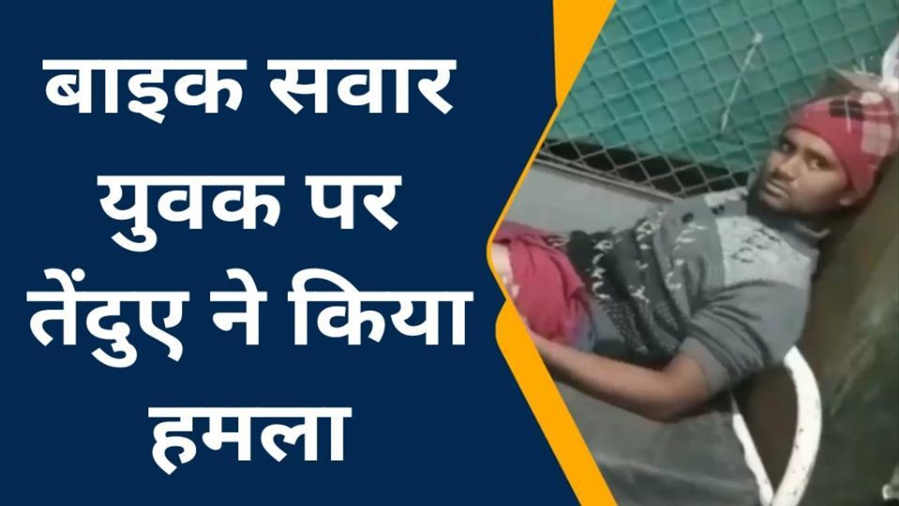 बुरहानपुर :तेंदुए ने किया बाइक सवार युवक पर हमला,घायल युवक का उपचार जारी