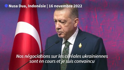 Erdogan "convaincu" que l'accord sur les céréales ukrainiennes sera reconduit