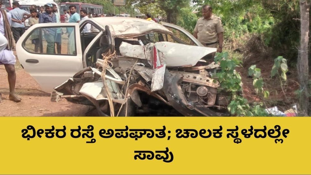 ಭೀಕರ ರಸ್ತೆ ಅಪಘಾತ; ಚಾಲಕ ಸ್ಥಳದಲ್ಲೇ ಸಾವು