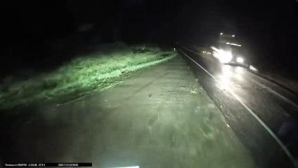 Driver Hits Downed Tree in Road