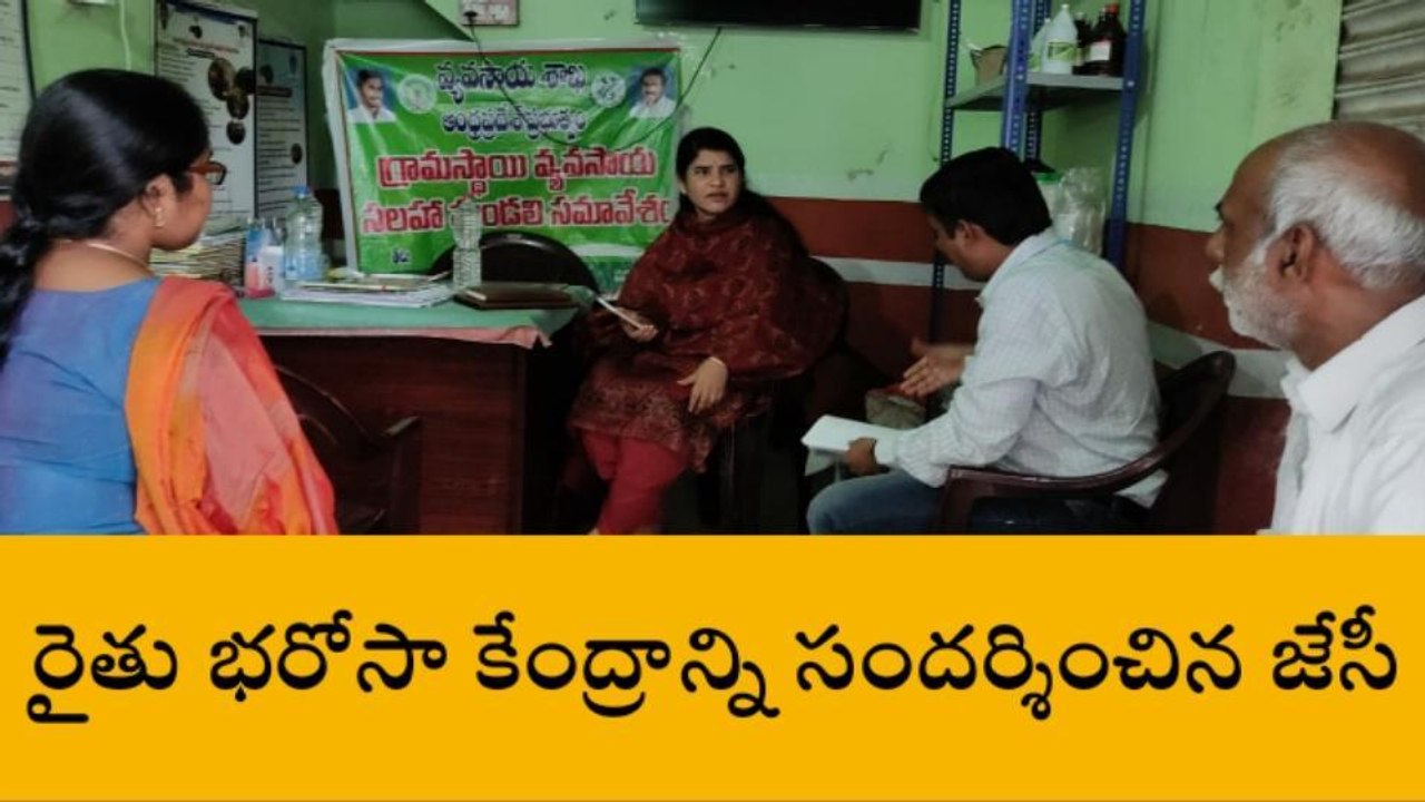 గుంటూరు జిల్లా: ప్రతి గింజ కొనుగోలు చేసే విధంగా చర్యలు - జేసీ