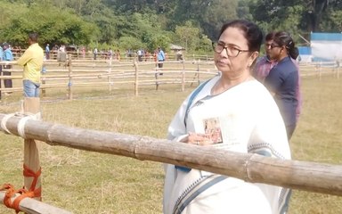 অভিযুক্তর বাড়ি থেকে বিজেপি নেতার দলিল মিলেছে, তিনি গ্রেফতার কেন হবেন না?: মমতা বন্দ্যোপাধ্যায়