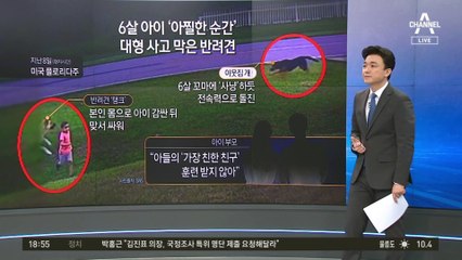 어린 주인 건드리지마!…‘수호 반려견’이 있었다