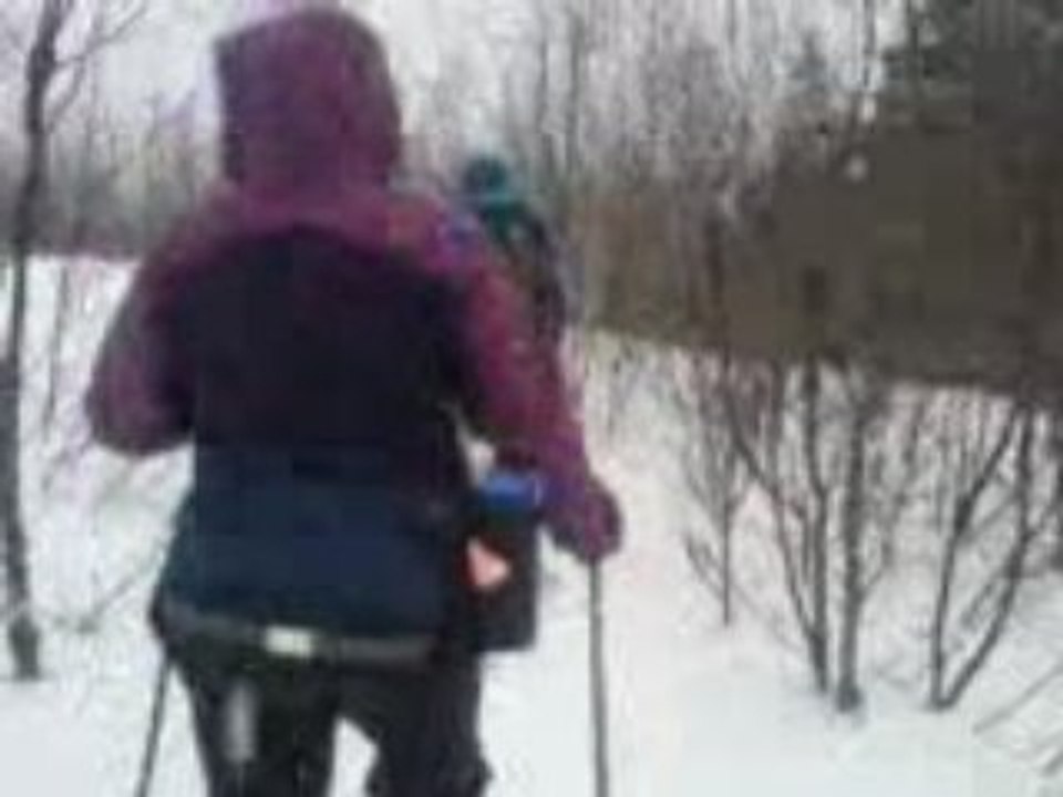 Balade raquettes 3 (vers point de vue)