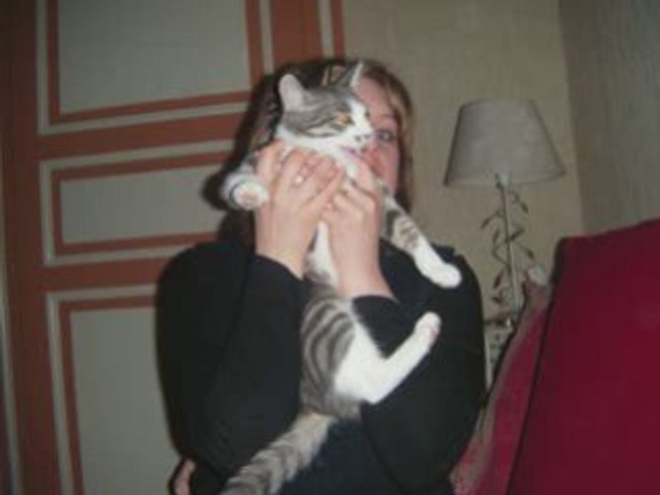 Tennis+ resto + chat 8 mars 2008