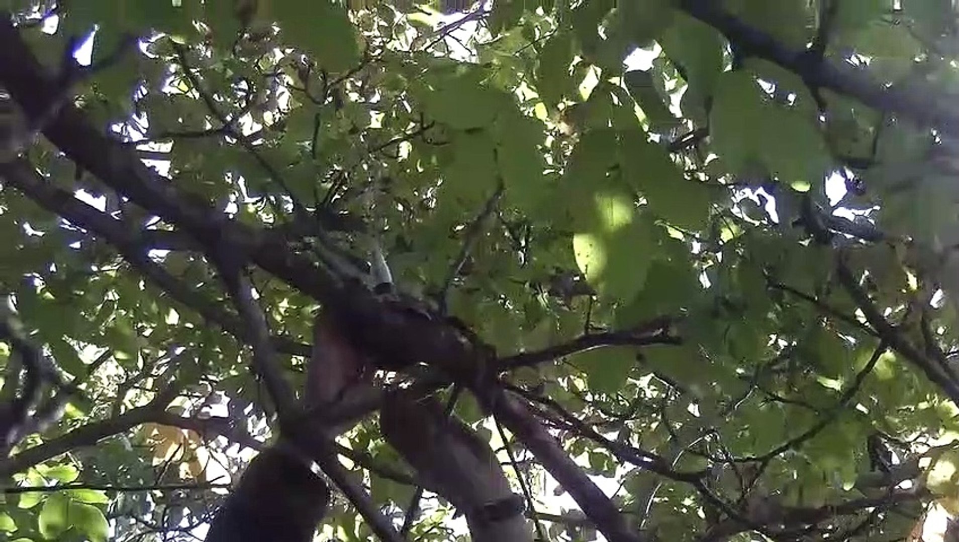 UAV Drone Using Ukraine Russian war