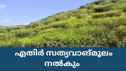 ഇടുക്കി : പീരുമേട് ടീ കമ്പനിയുടെ ഹര്‍ജിക്കെതിരെ എതിര്‍ സത്യവാങ്മൂലം നല്‍കും