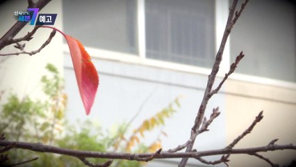 탈북민 ‘백골’ 시신 미스터리_탐사보도 세븐 219회 예고 TV CHOSUN 221117 방송