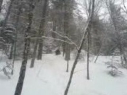 Balade raquettes 9 (descente luge)