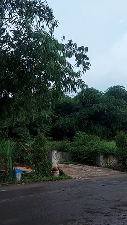 Hujan sore