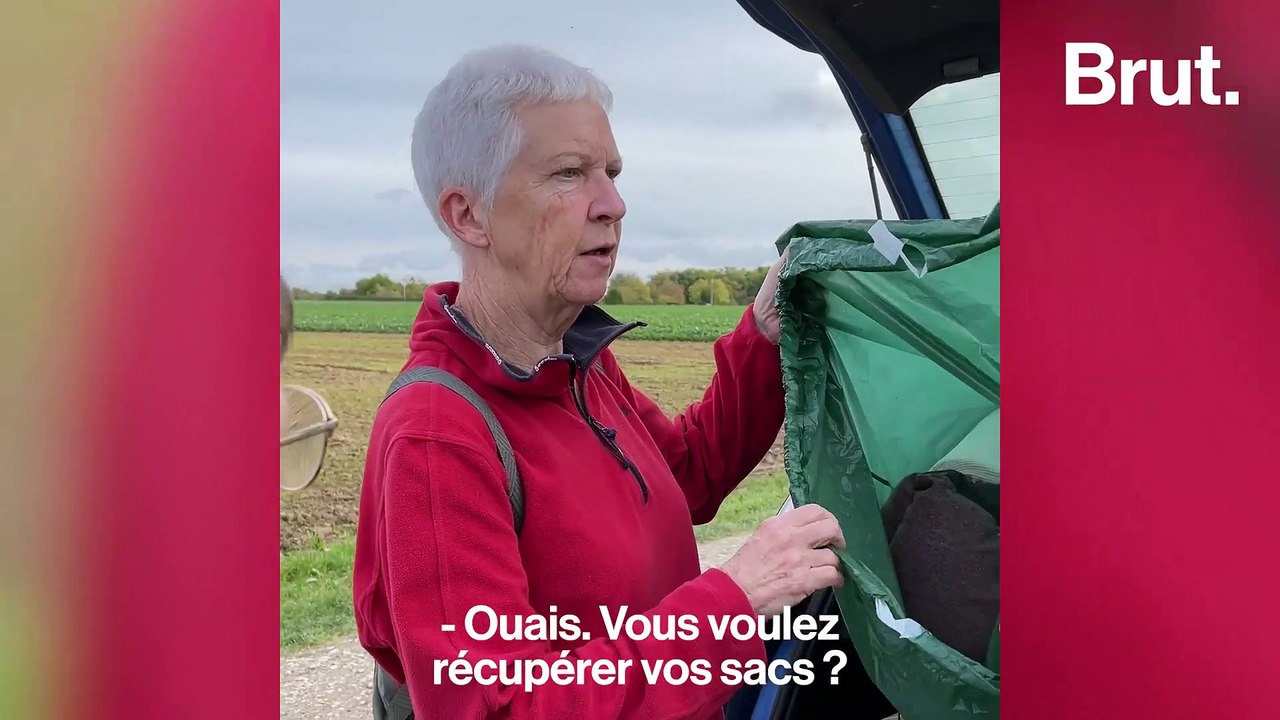 Débordé par les abandons d'animaux, ce refuge est en danger