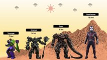 Transformers vs Avengers Size Comparison