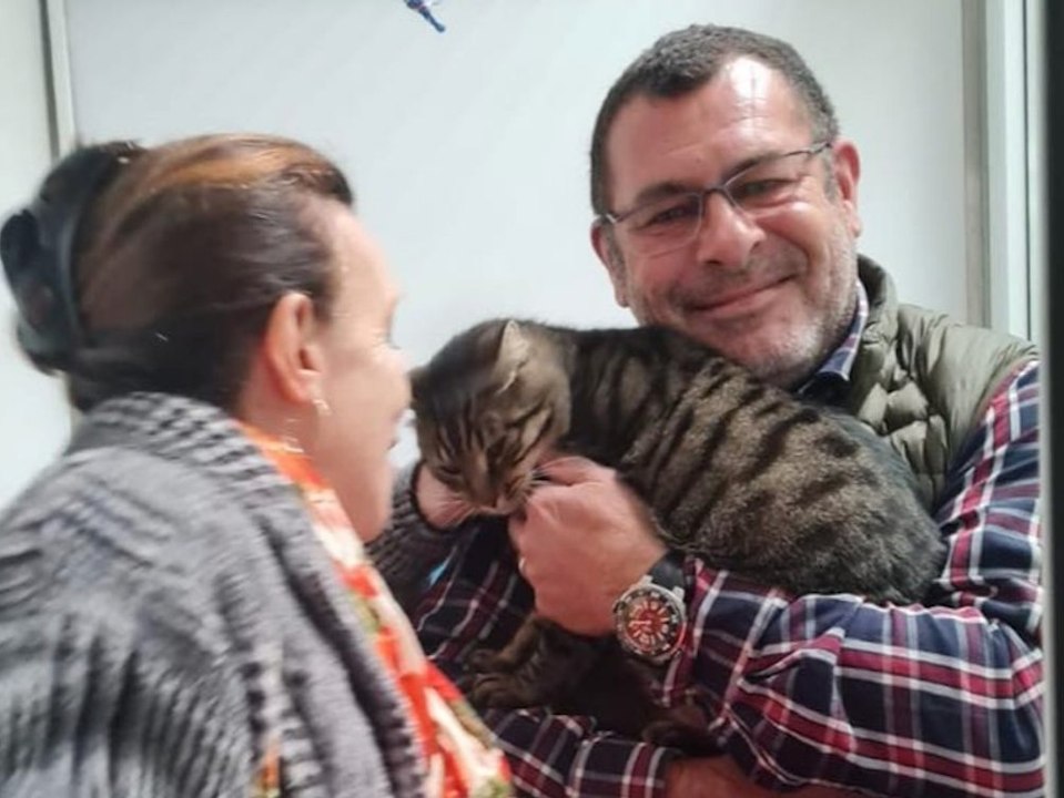 Vier Monate vermisst! Kater taucht 400 Kilometer entfernt wieder auf