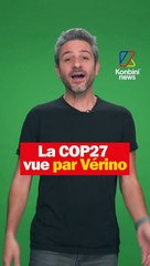 La COP27 vue par Verino