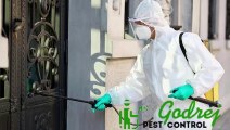 Best Pest Control Services in Delhi NCR