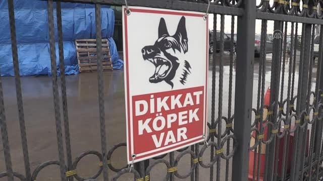 Köpeklerden kaçarken hafif ticari aracın çarptığı temizlik işçisi öldü
