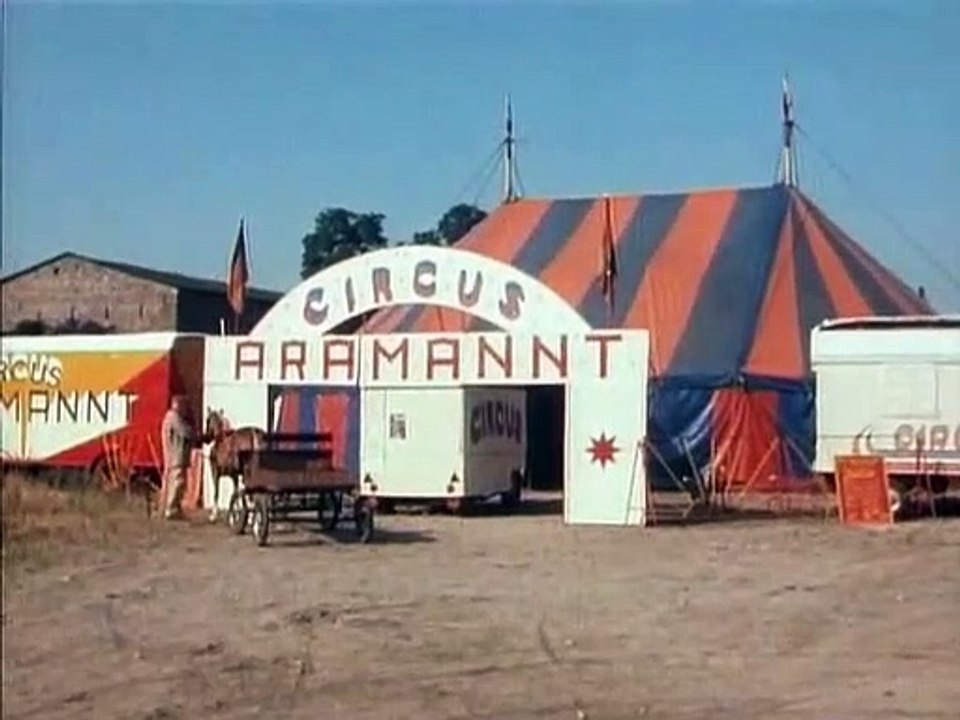 Ein Heim für Tiere - Hasso