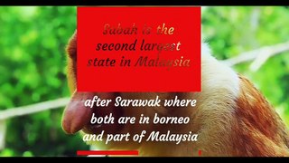 Sabah Borneo, The  Best Vacation Destination!
