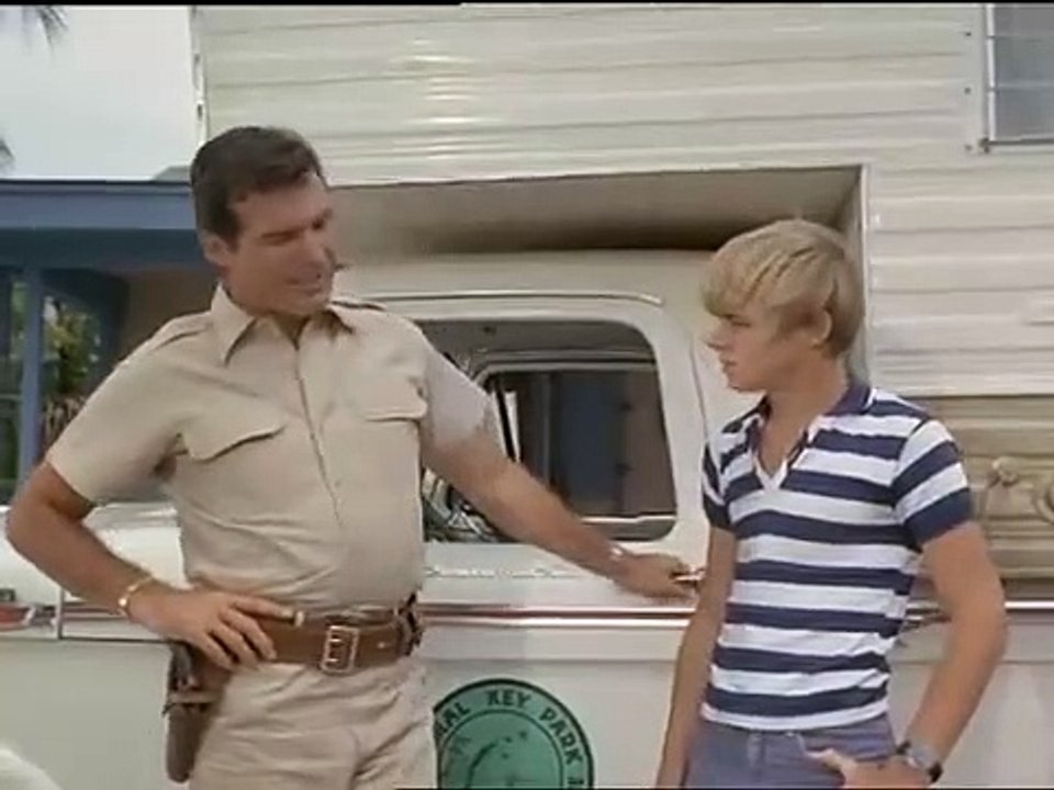 Flipper - Jagd auf Haie